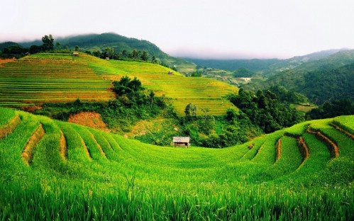 Best of North & Central Vietnam 12 Days